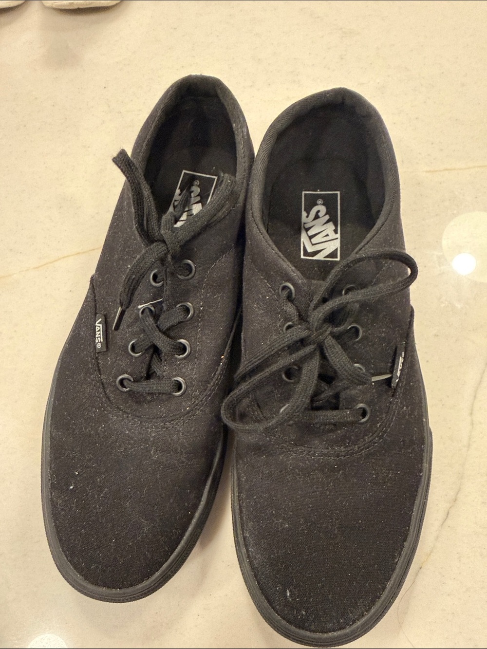 Vans Black Canvas Low-Top Sneakers